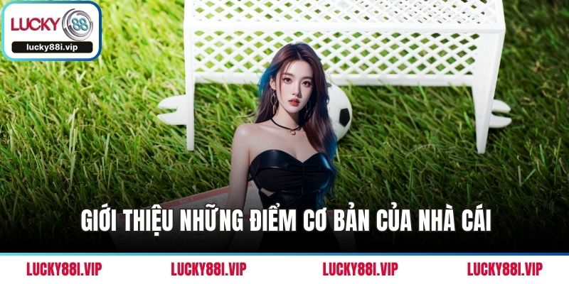 Giới thiệu những điểm cơ bản của nhà cái